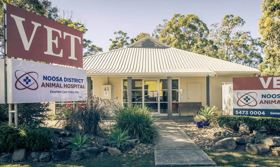 Noosa District Animal Hospital